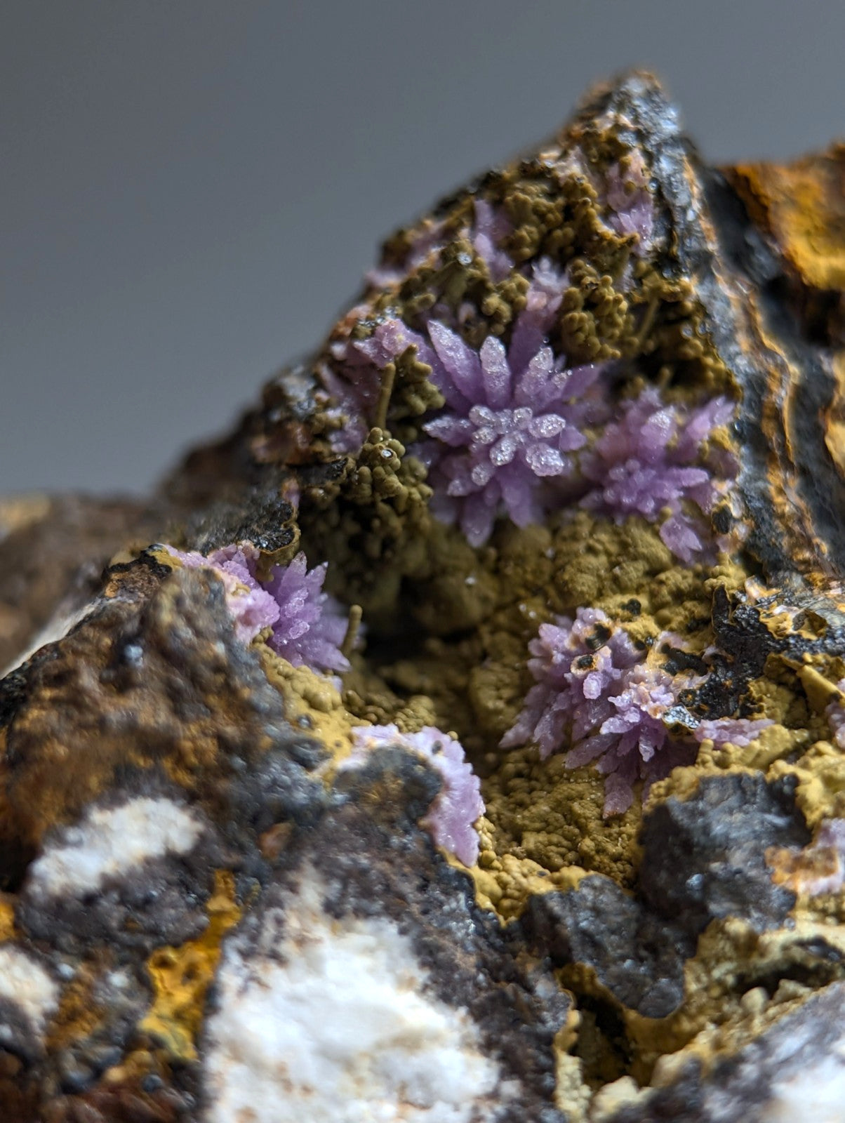 Super Rare Strengite + Kidwellite, etc, Coon Creek Mine, Polk Co, Arkansas, A+++