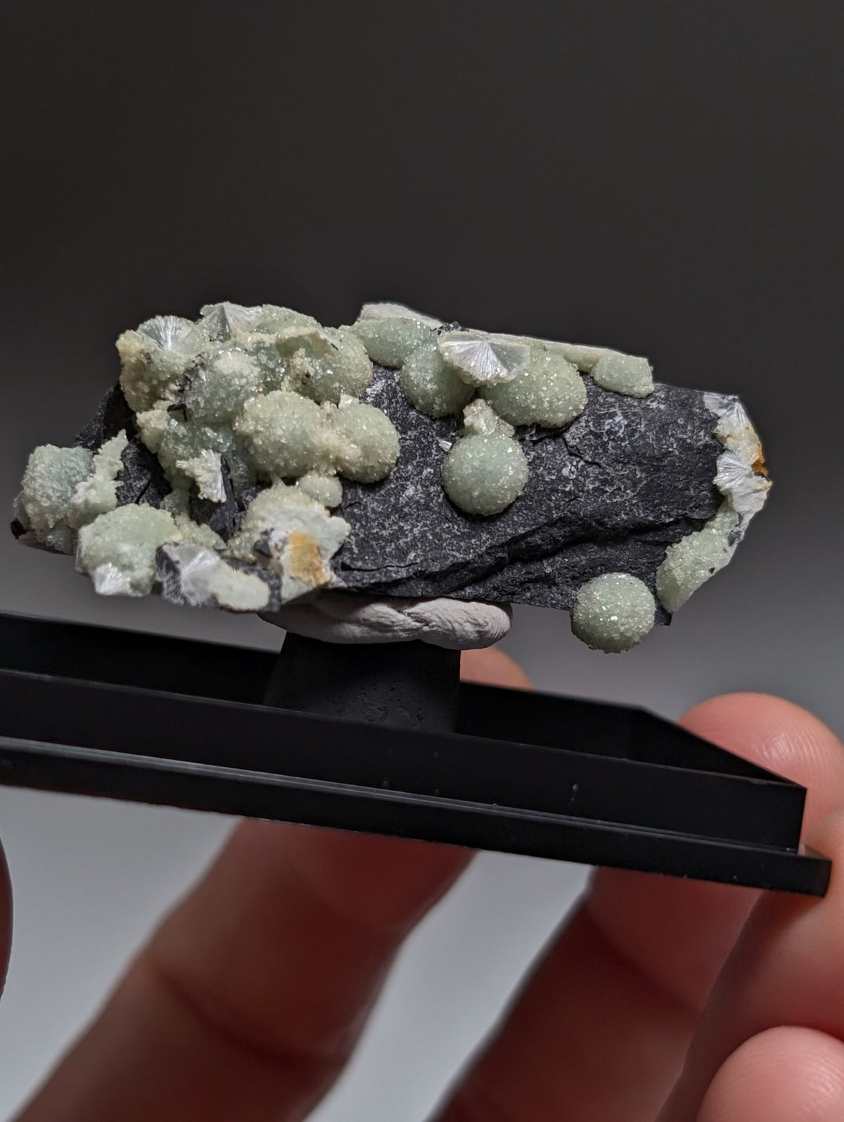 UV Reactive Wavellite - Fantastic Old Stock - Mauldin Mountain, Arkansas, Rare