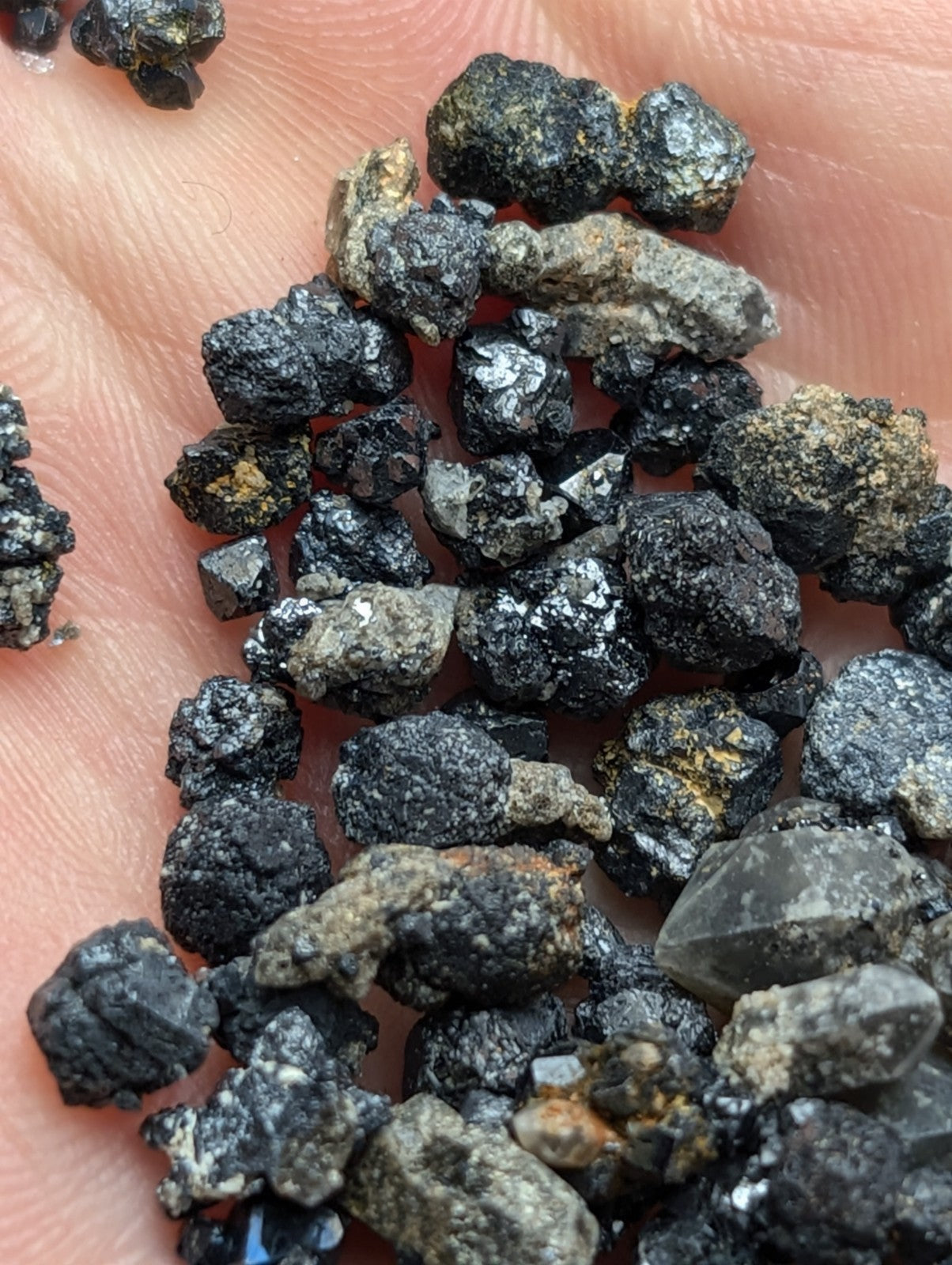Micro Brookites + Smoky Quartz, Magnet Cove, Arkansas, Old Stock, 10+ gram set