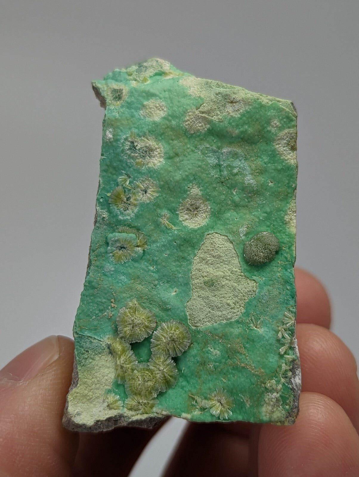Rare Wavellite Smile Face on Variscite - Old Stock - Garland County, Arkansas
