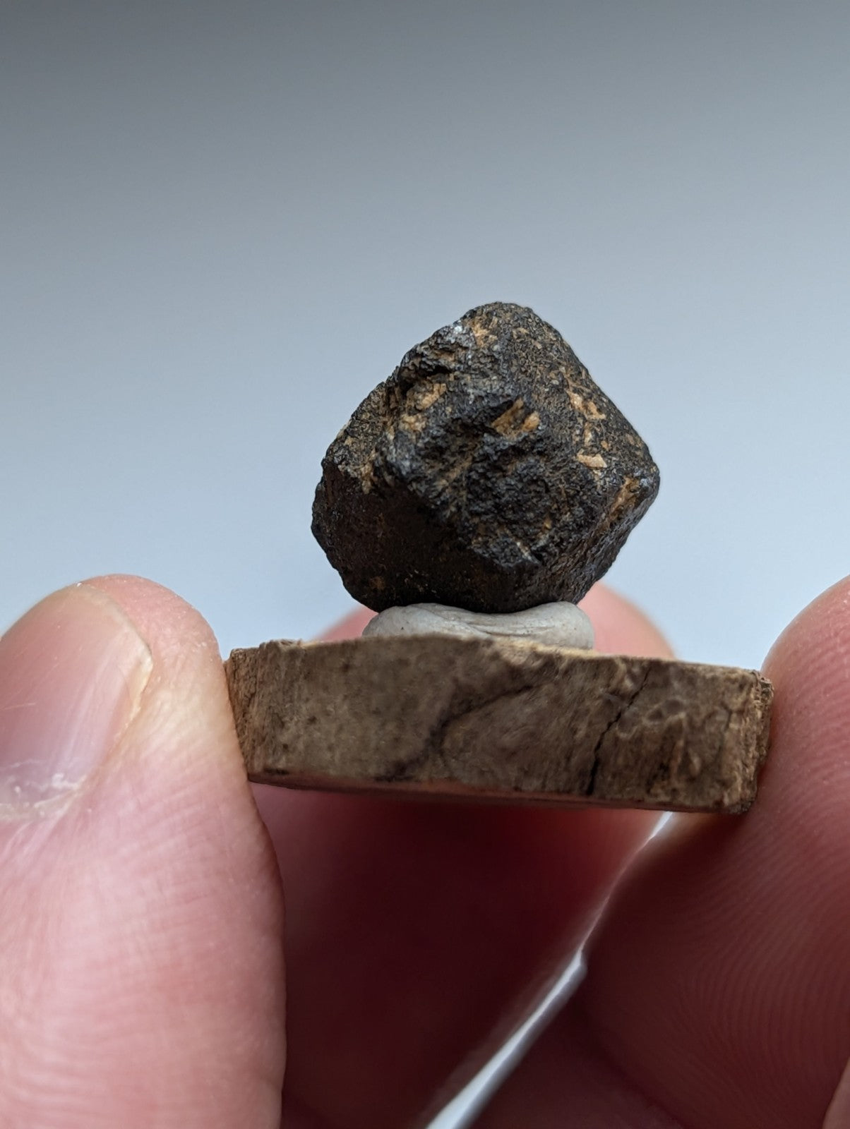 Magnetite crystal, Magnet Cove, Hot Spring County, Arkansas, USA, Old Stock