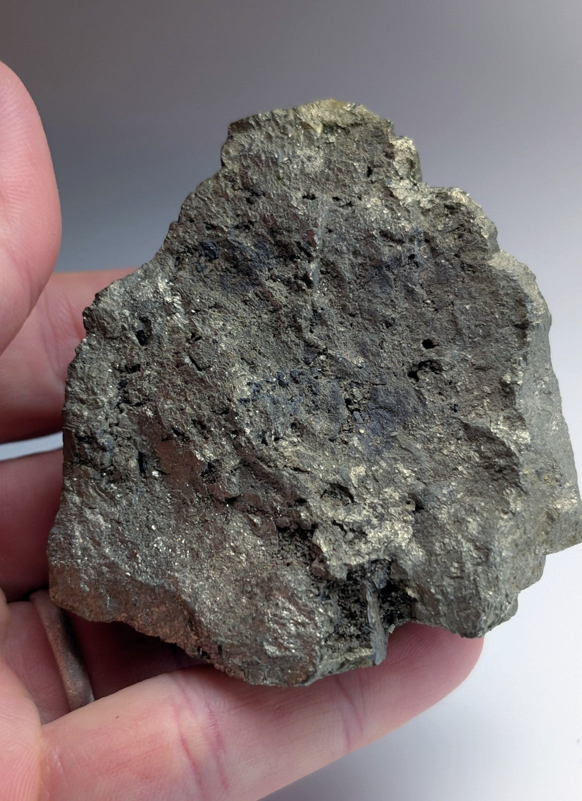 Pyrite with Molybdenum, Magnet Cove, Arkansas, USA, w/ wood display, ex Delinde
