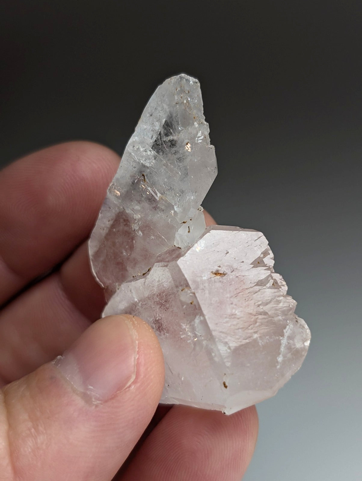 Unique Quartz Crystal "Floater" Point, Old Stock, Montgomery County, Arkansas