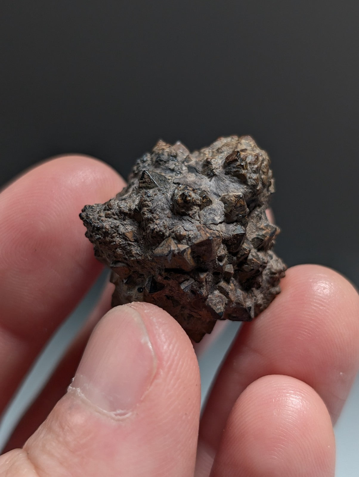 Limonite & Pyrite Pseudomorph, Benton County, Arkansas,  Ex Henry Delinde!