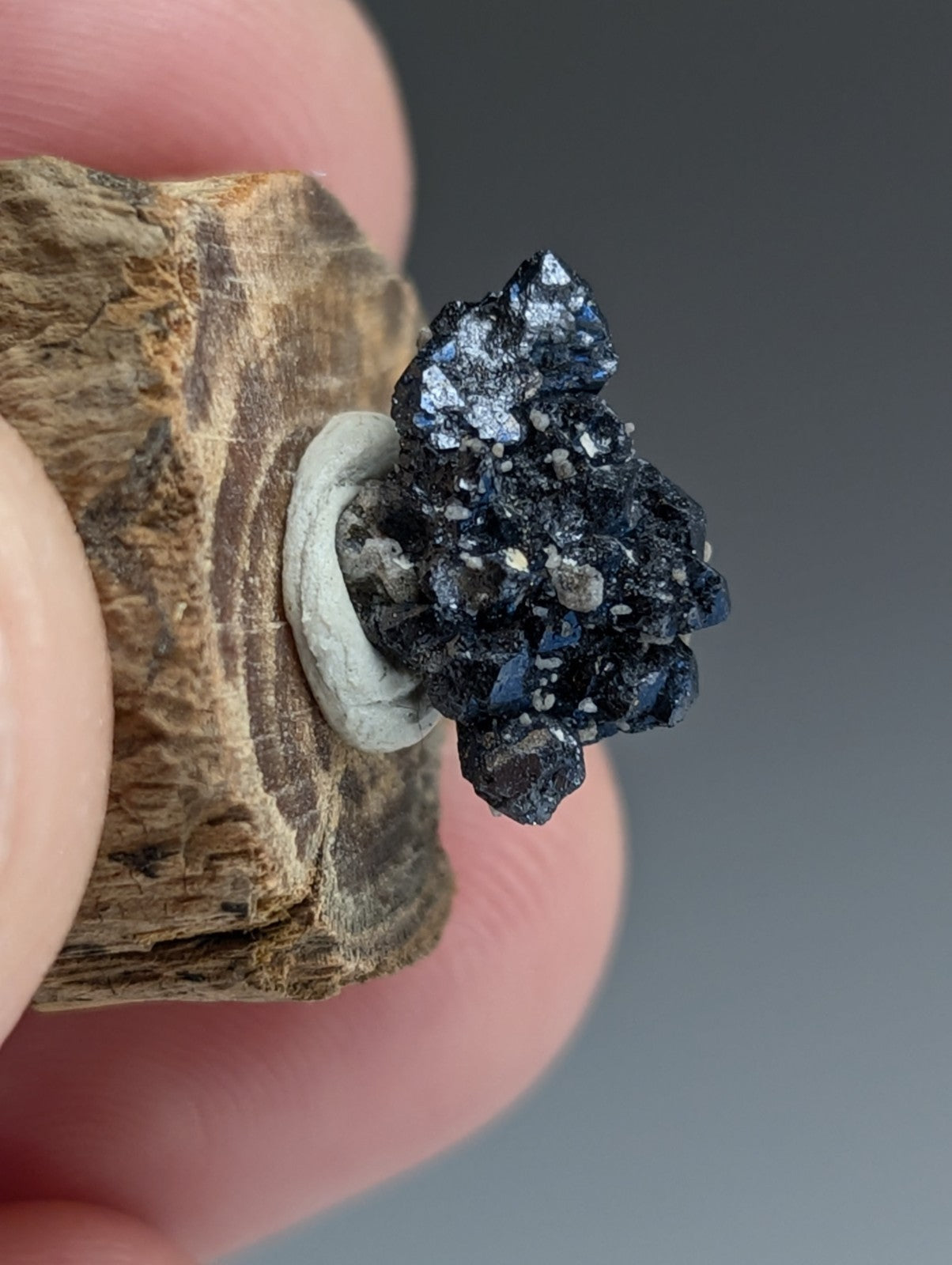 A+ Unique Brookite Crystal, Magnet Cove, Arkansas, Old Stock, + wood stand