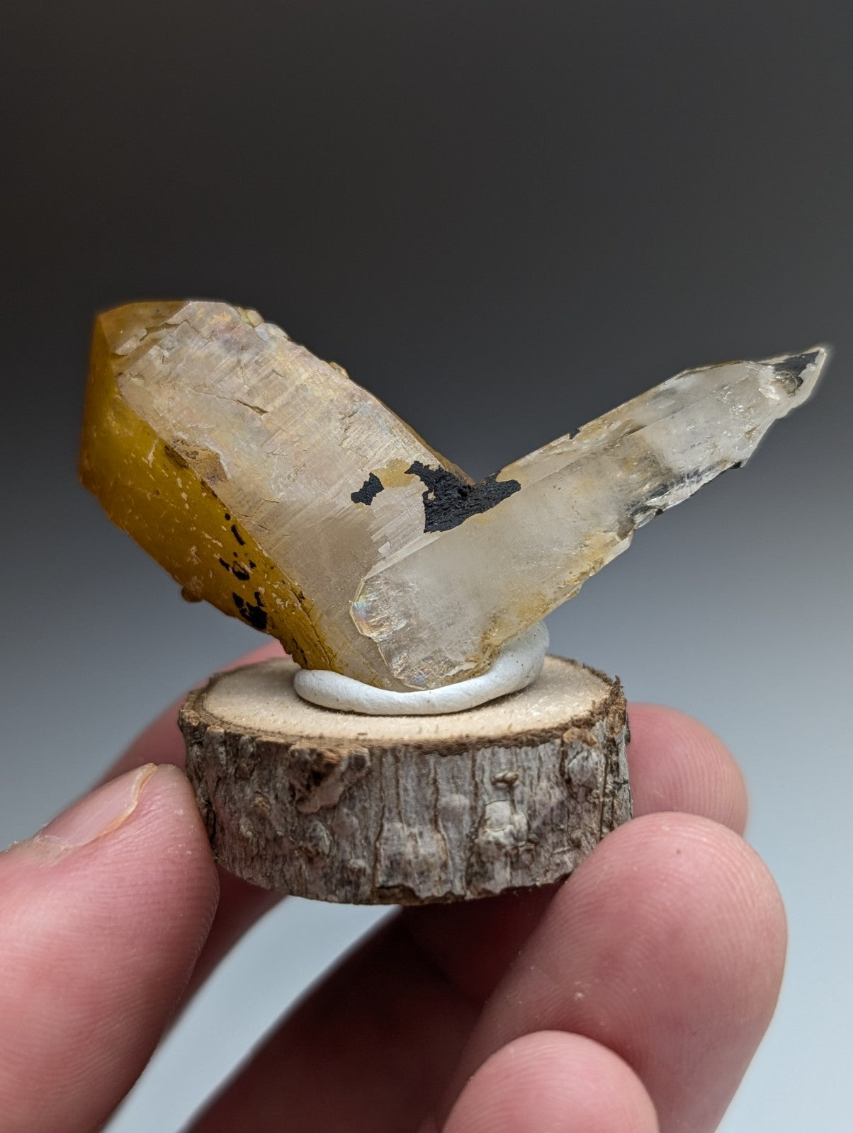 A+ Unique Quartz, Old Stock, Montgomery County, Arkansas, w/ natural wood base