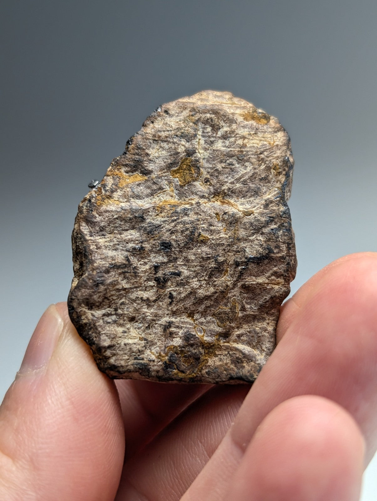 Magnetite (lodestone), Magnet Cove, Hot Spring County, Arkansas, Natural Magnet!