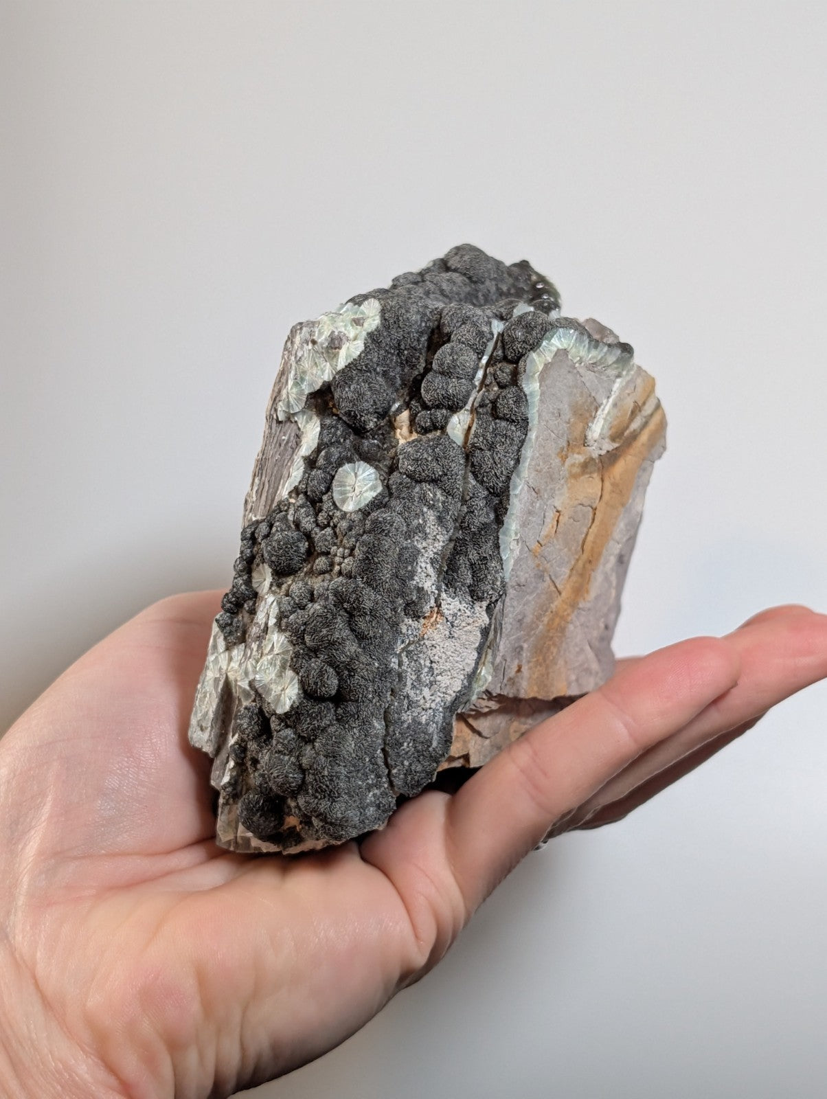 Black Wavellite - Fantastic Old Stock - Mauldin Mountain, Arkansas, USA, Rare