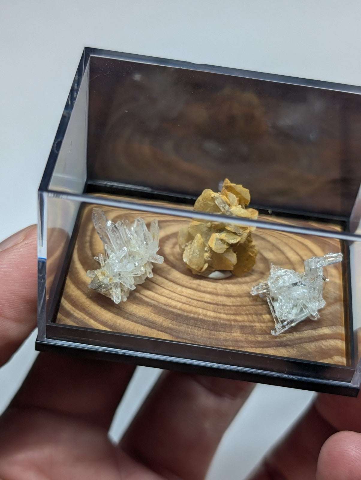 Solution Quartz + Ankerite, w/ wood mount + photo case- Jeffrey Quarry, Arkansas