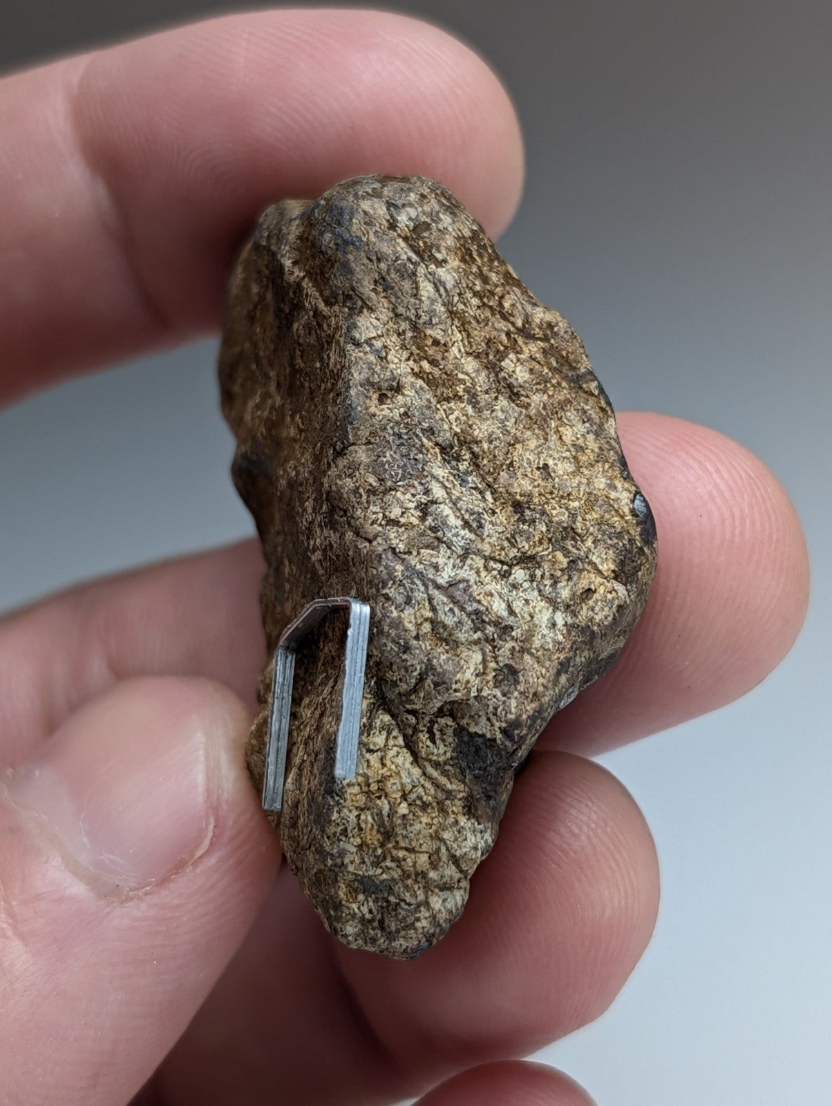 Magnetite (Lodestone), Magnet Cove, Arkansas,Unique Old Stock, natural magnet