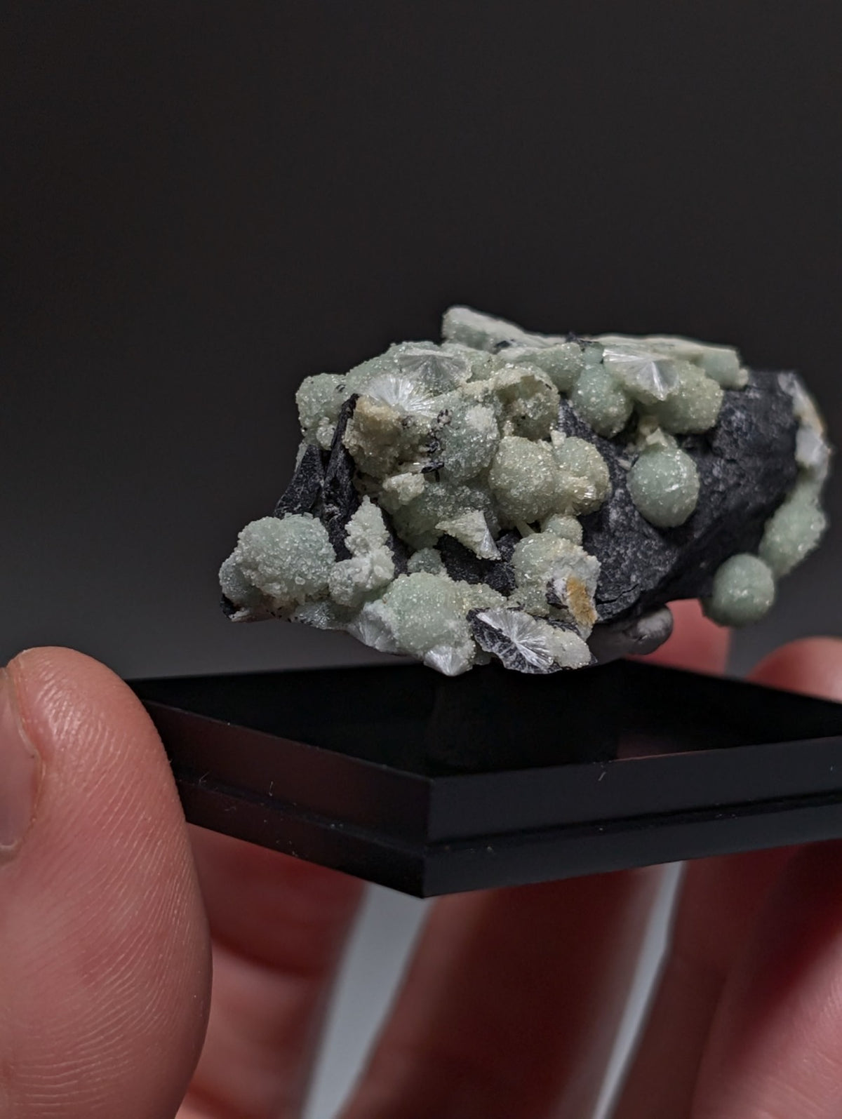 UV Reactive Wavellite - Fantastic Old Stock - Mauldin Mountain, Arkansas, Rare