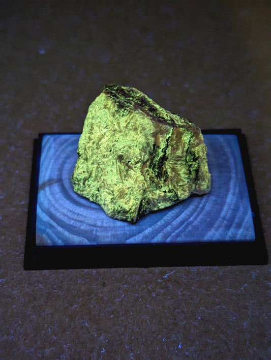 Miserite + Wollastonite w/ wood mount + photo case - Garland County, Arkansas