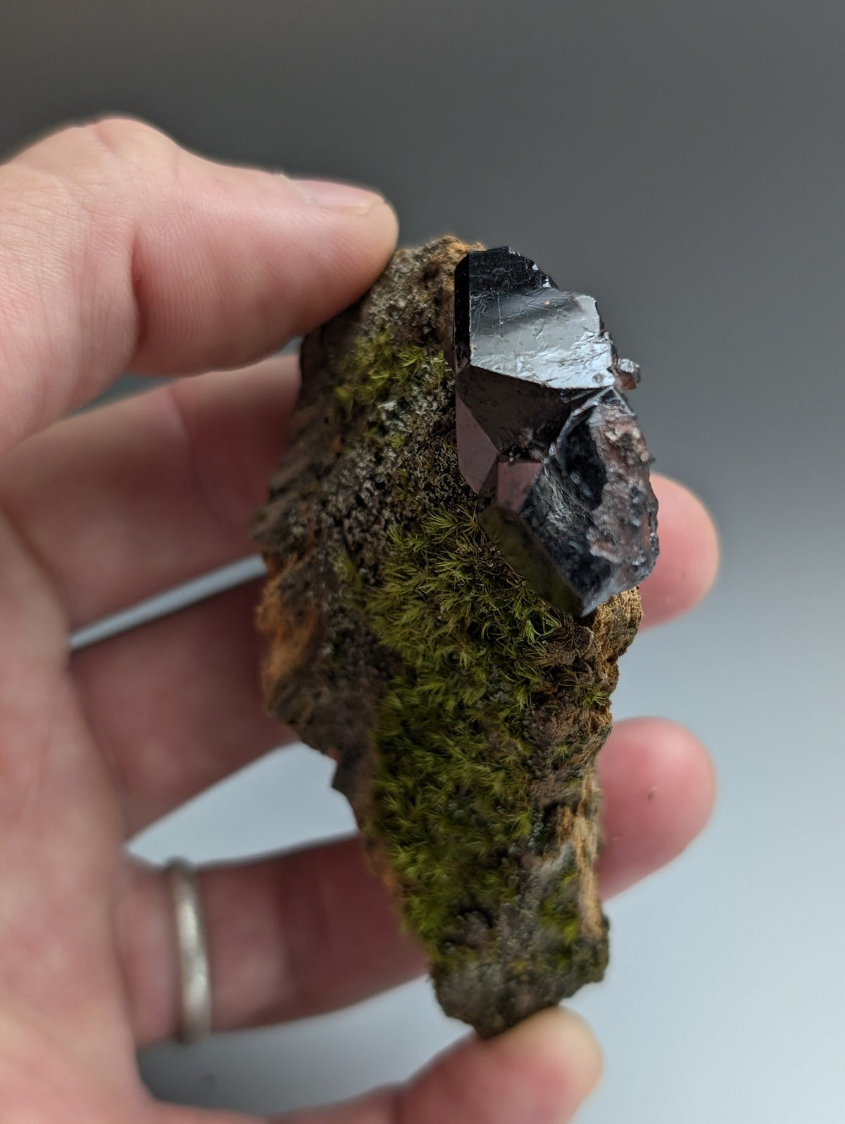 A+ Twinned Rutile Crystal, Graves Mountain, Georgia, USA,  Rare Old Stock