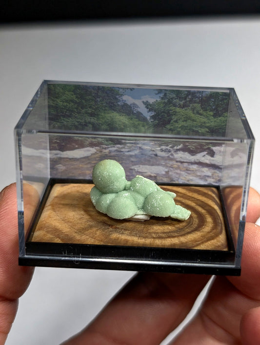 Wavellite, w/ wood mount + photo case - Old Stock - Montgomery County, Arkansas