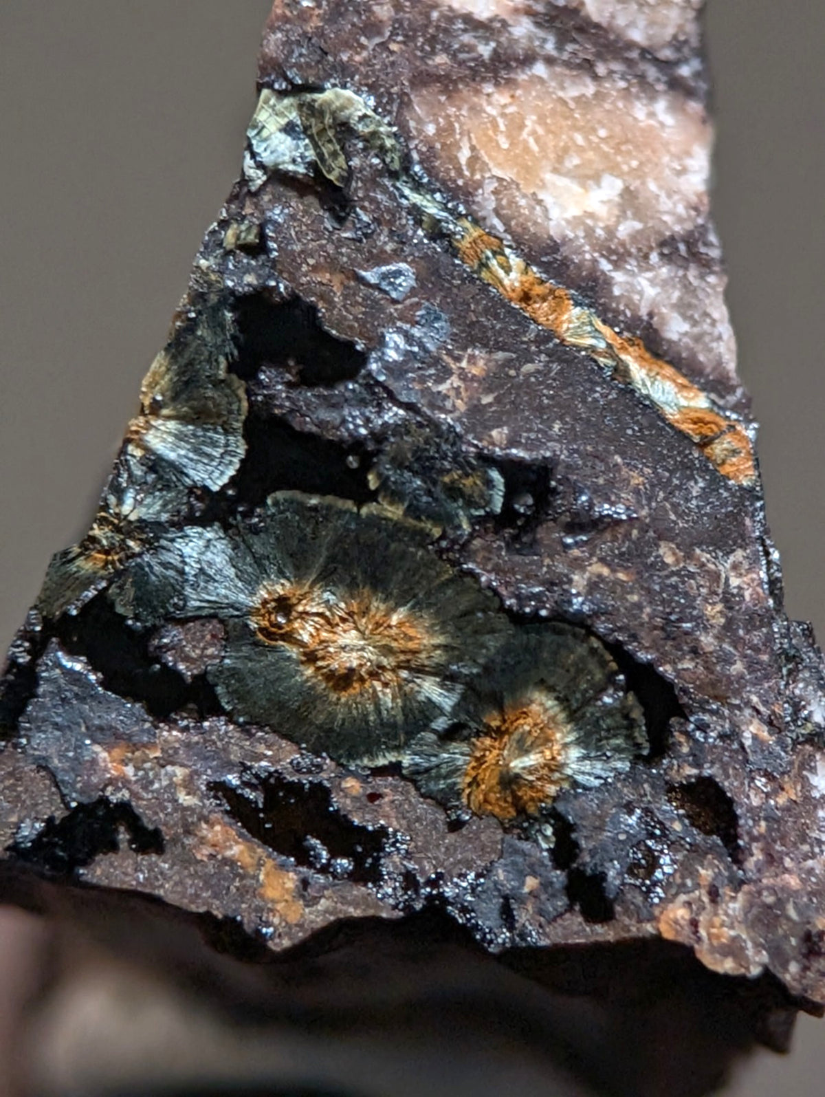 Rare Kidwellite on Novaculite - Coon Creek, Polk County, Arkansas, w/ photo case