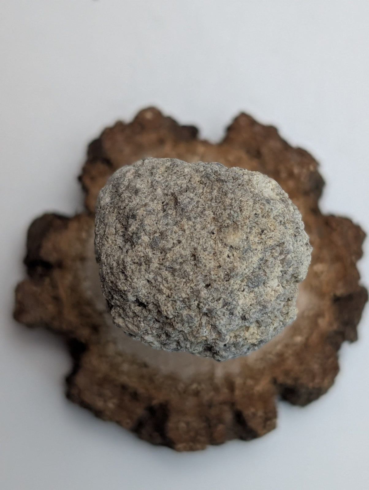 Pseudoleucite, Magnet Cove, Hot Spring County, Arkansas, Old Stock, w/wood stand