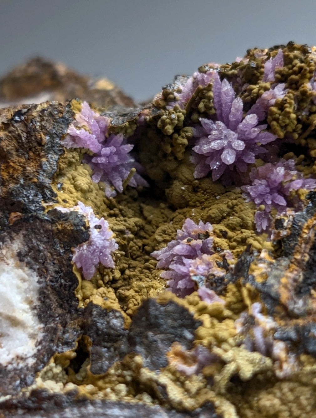 Super Rare Strengite + Kidwellite, etc, Coon Creek Mine, Polk Co, Arkansas, A+++
