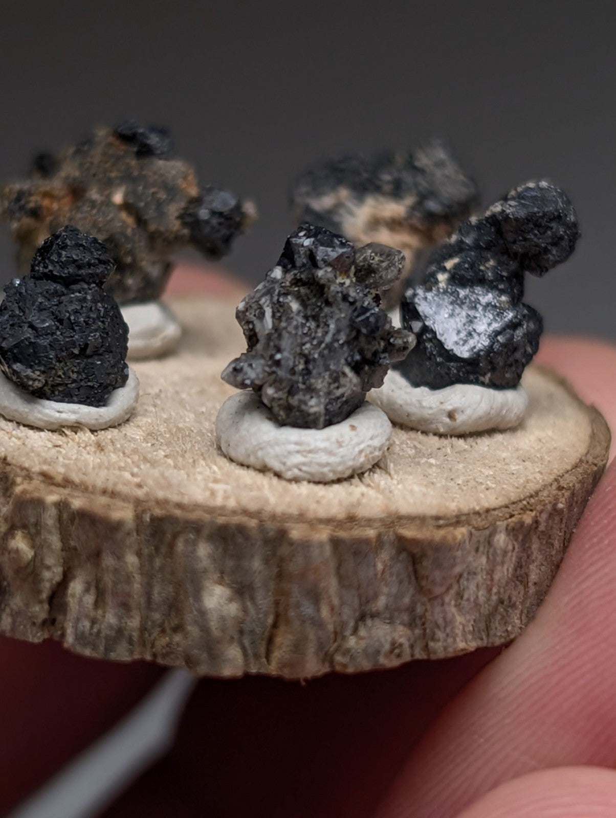 Set of 5 Brookite + Smoky Quartz, Magnet Cove, Arkansas, Old Stock, + wood stand