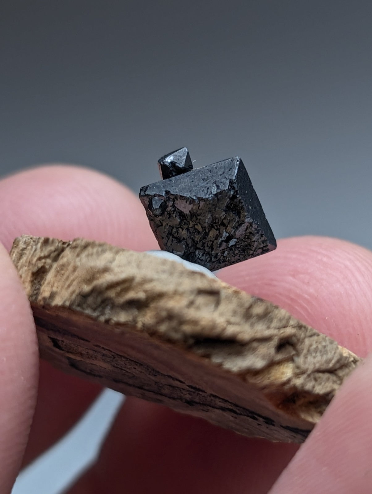A+ Brookite Crystal, Magnet Cove, Arkansas, Old Stock, + wood stand