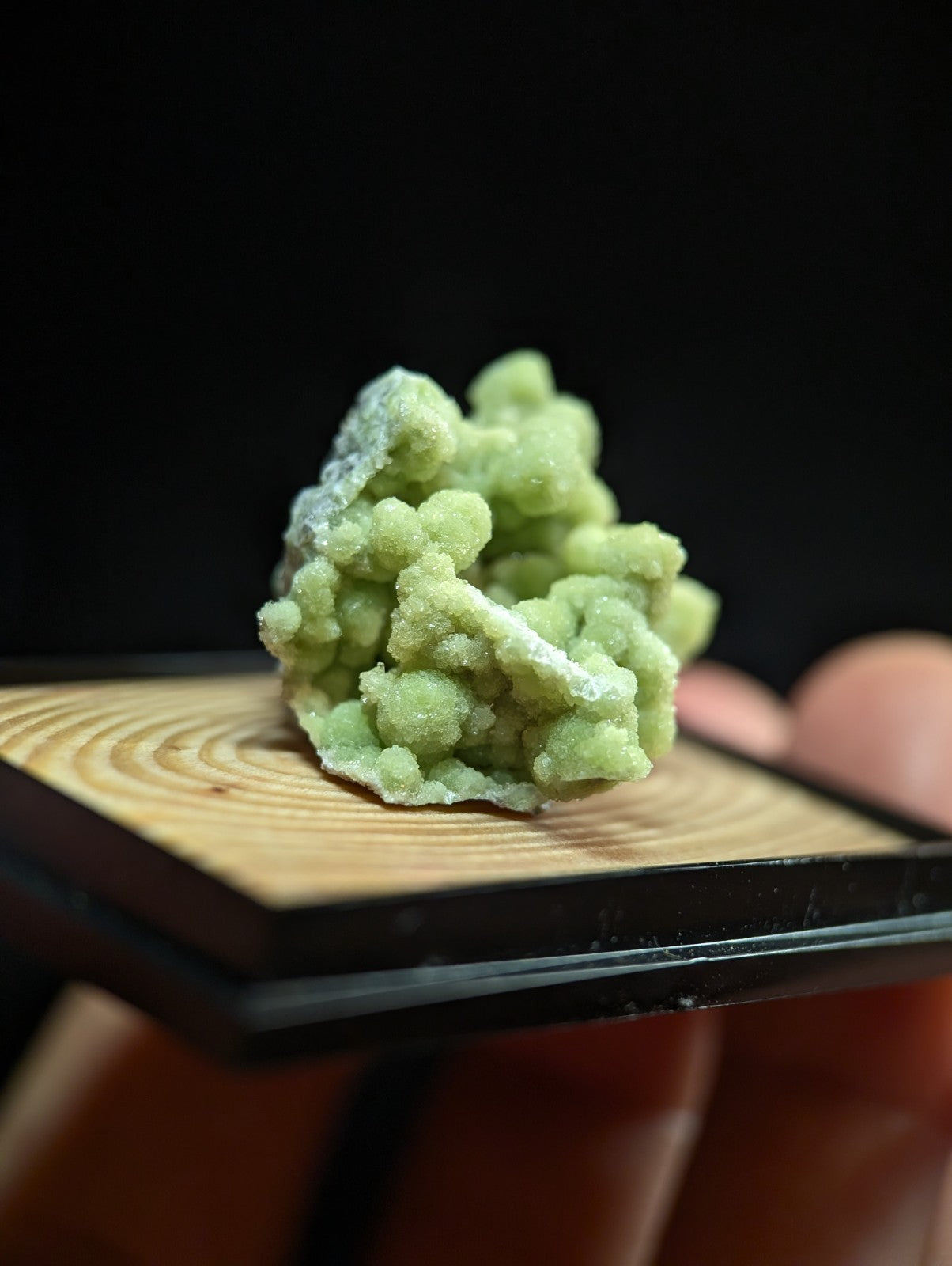 A+ FluorWavellite, w/ wood mount + photo case - Montgomery County, Arkansas