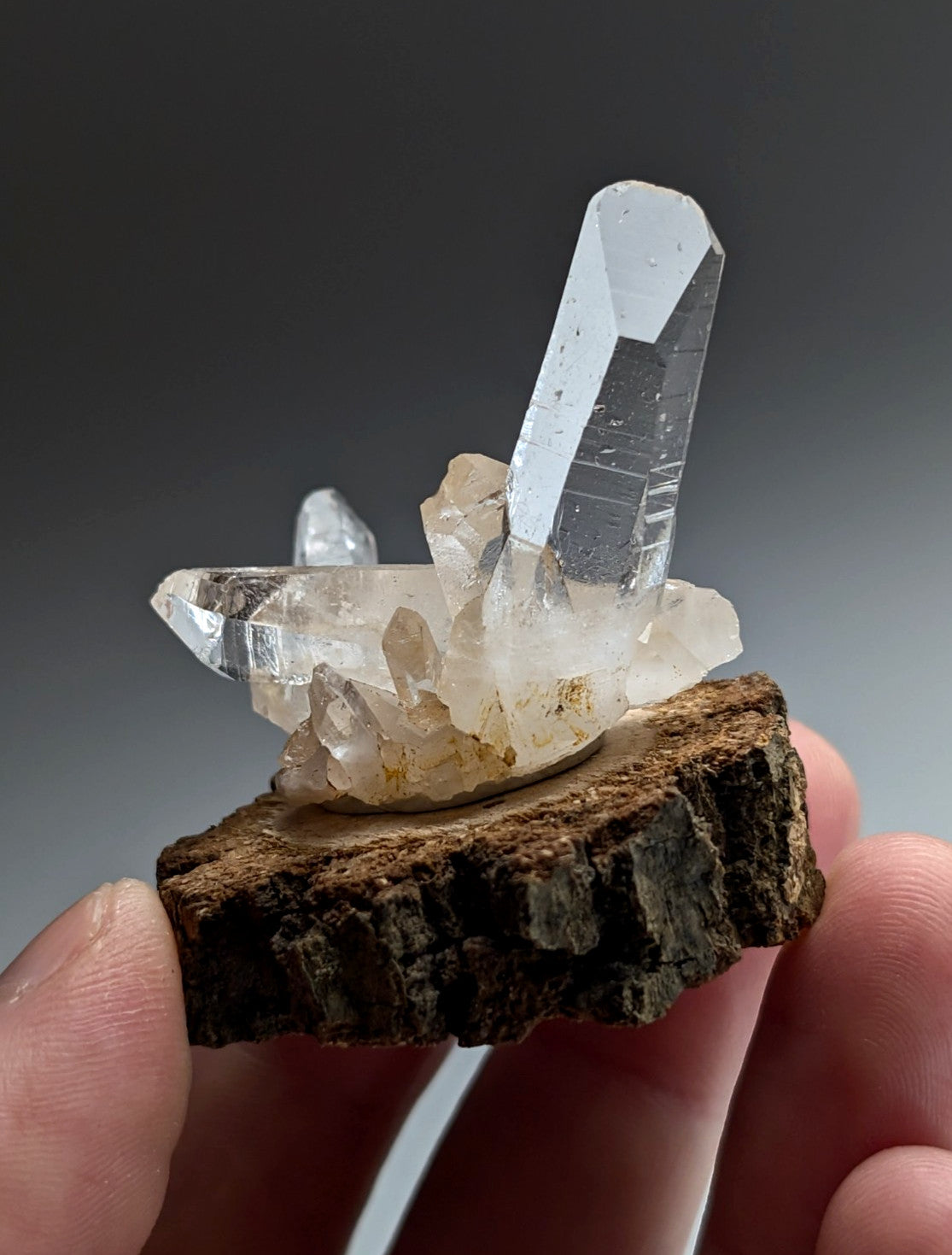 A+ Quartz Cluster, Old Stock, Montgomery County, Arkansas, w/ natural wood base