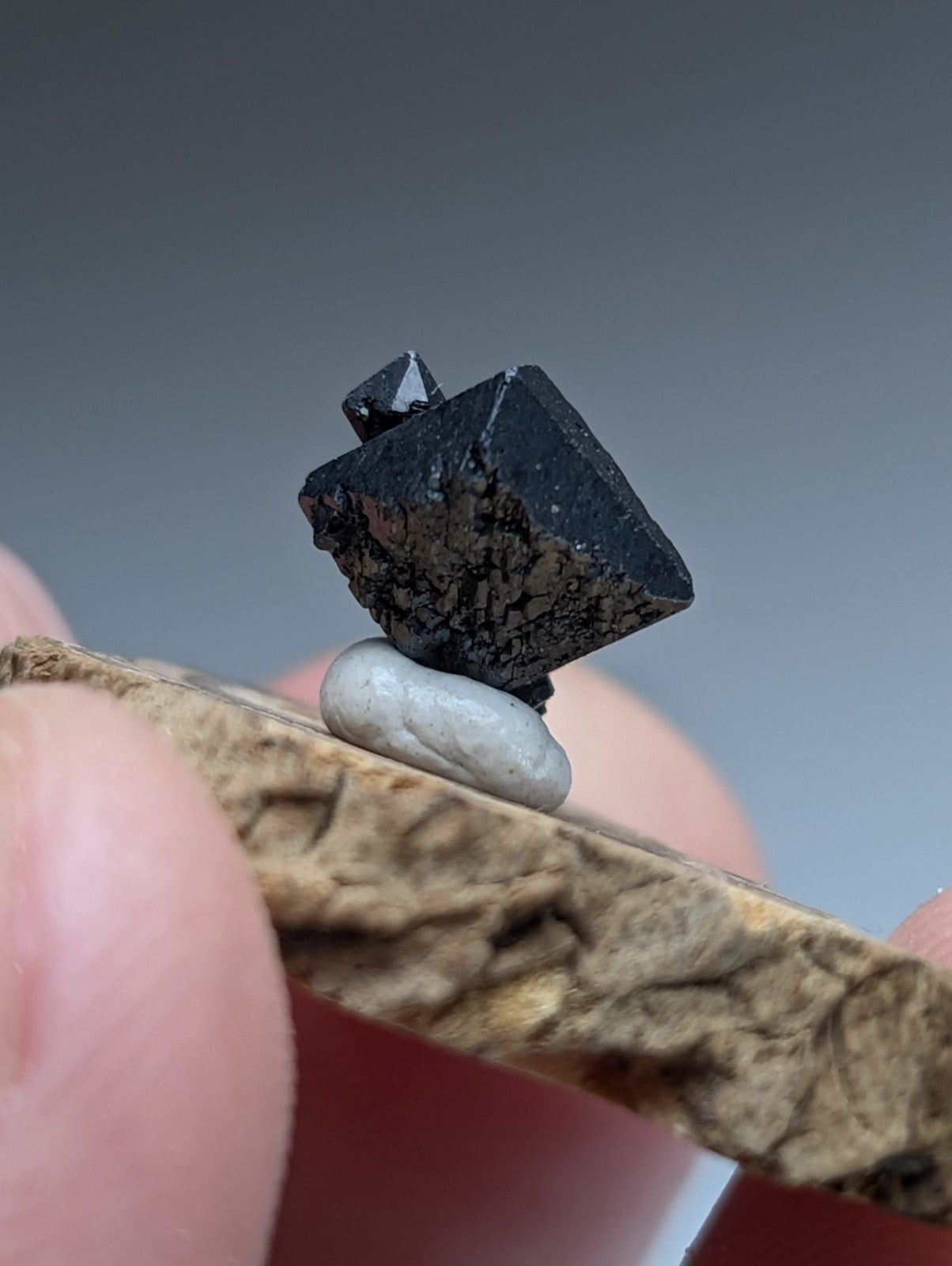 A+ Brookite Crystal, Magnet Cove, Arkansas, Old Stock, + wood stand