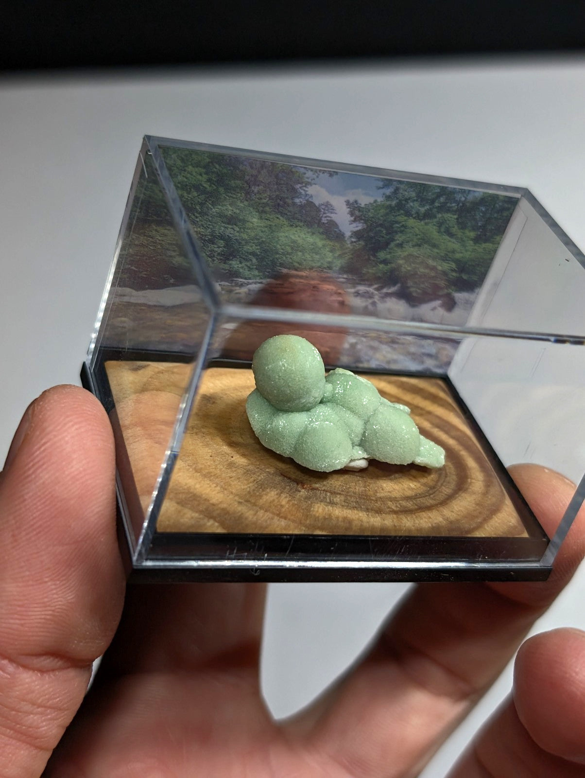 Wavellite, w/ wood mount + photo case - Old Stock - Montgomery County, Arkansas