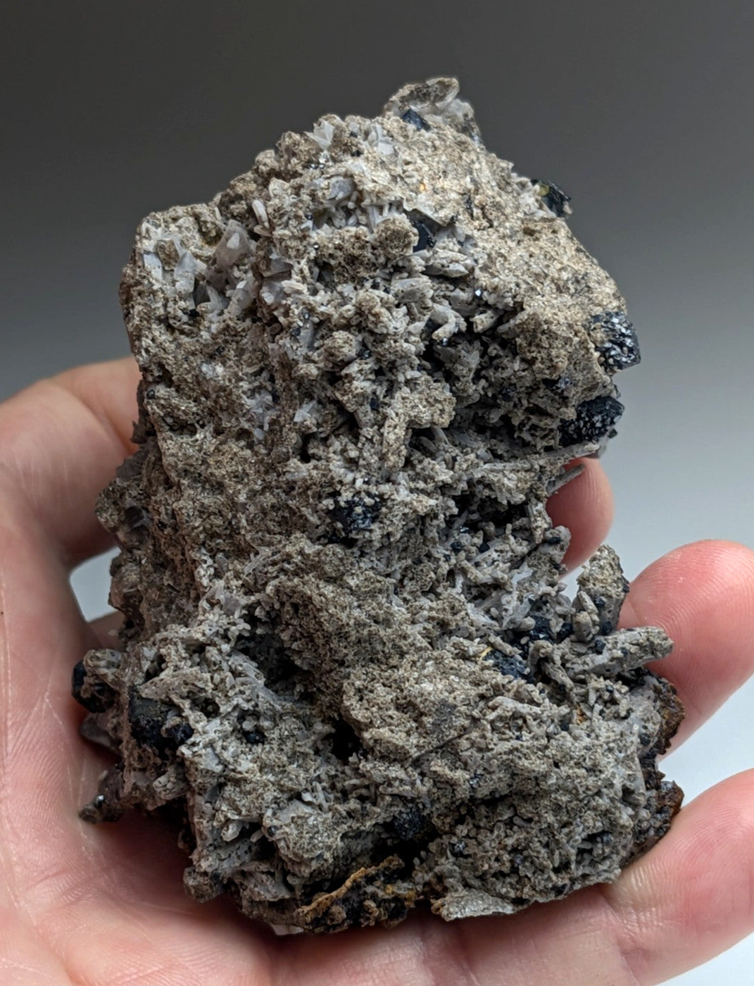 Large Brookite Crystals on Smoky Quartz, Magnet Cove, Arkansas, USA, ex Delinde