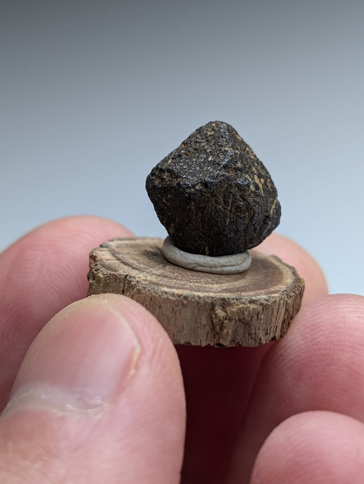 Magnetite crystal, Magnet Cove, Hot Spring County, Arkansas, USA, Old Stock