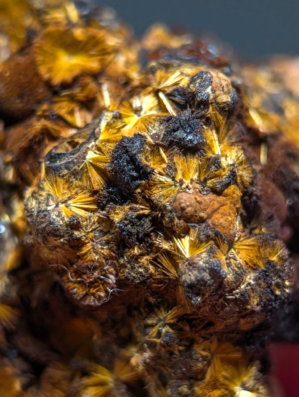 VERY RARE Strengite + Cacoxenite- Coon Creek, Polk County, Arkansas