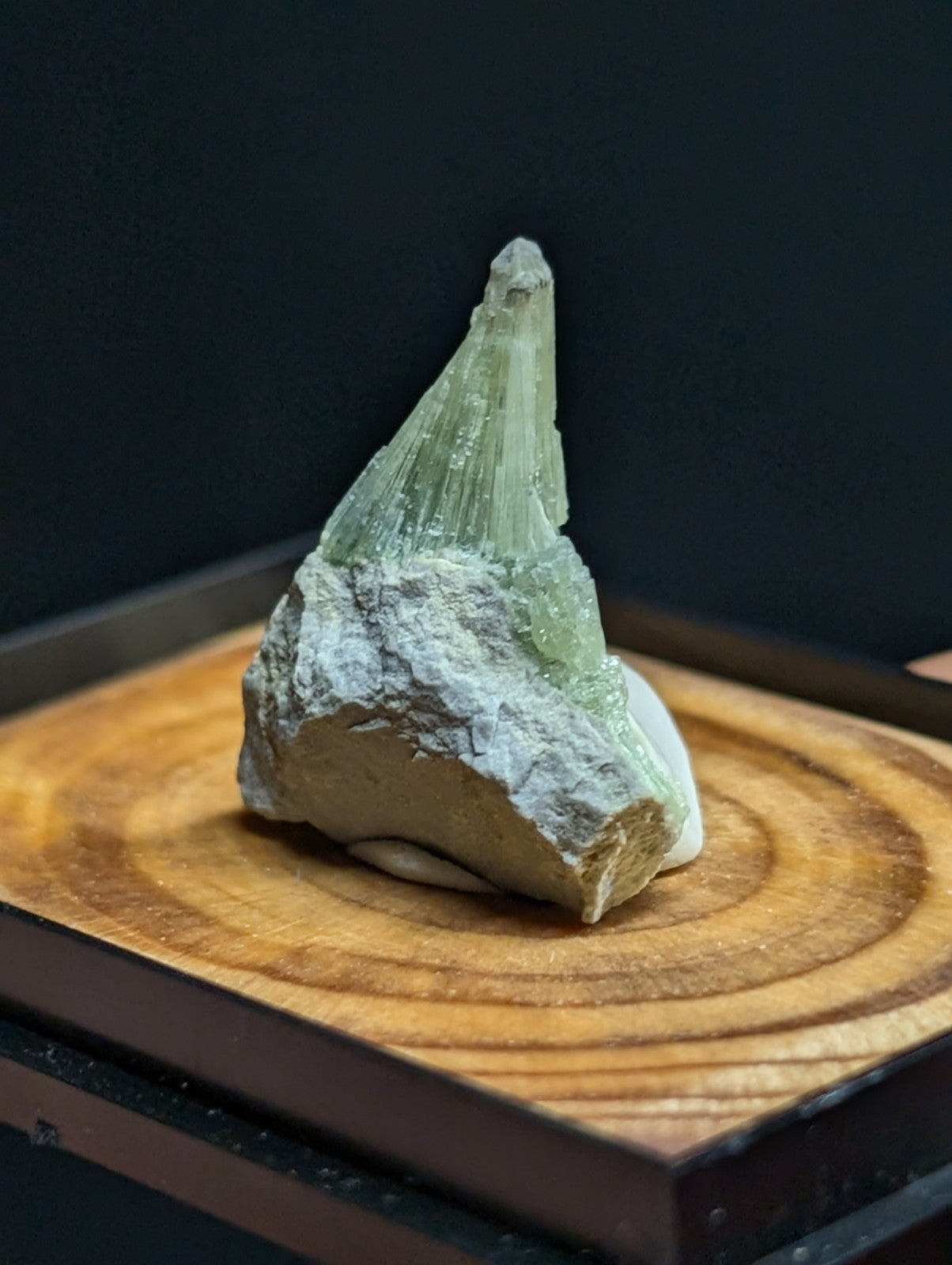 Wavellite "Shark Tooth" w/ wood mount + photo case -Garland County, Arkansas
