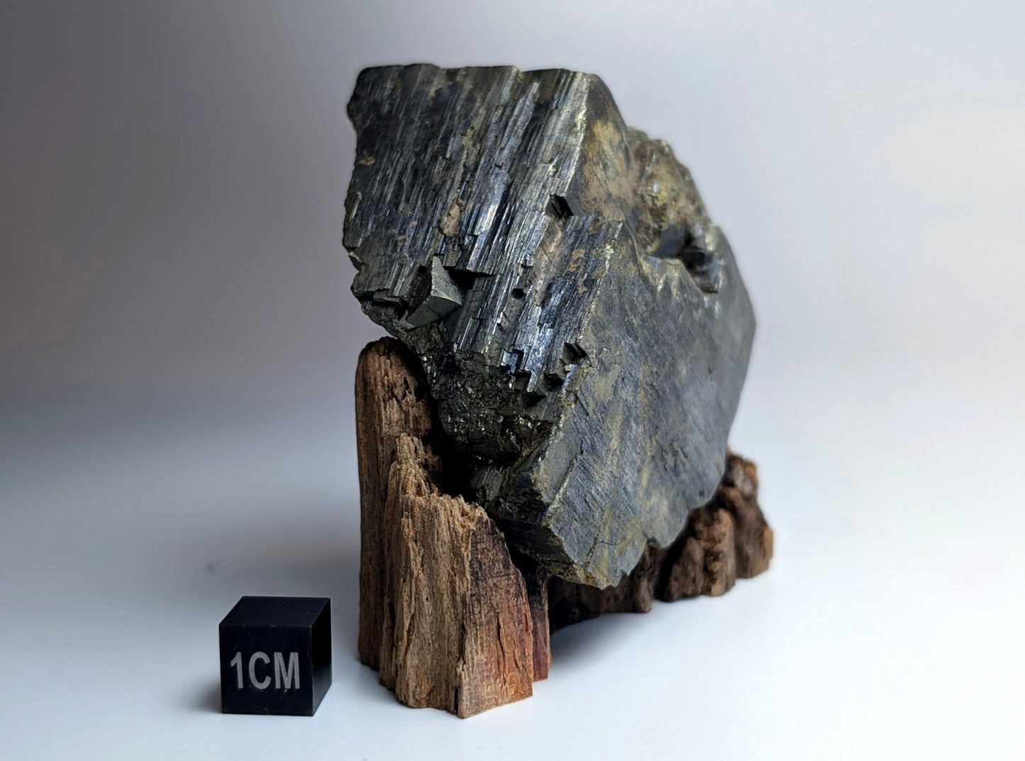 Pyrite with Molybdenum, Magnet Cove, Arkansas, USA, w/ wood display, ex Delinde