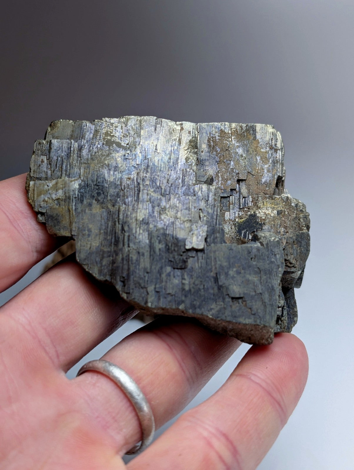 Pyrite with Molybdenum, Magnet Cove, Arkansas, USA, w/ wood display, ex Delinde