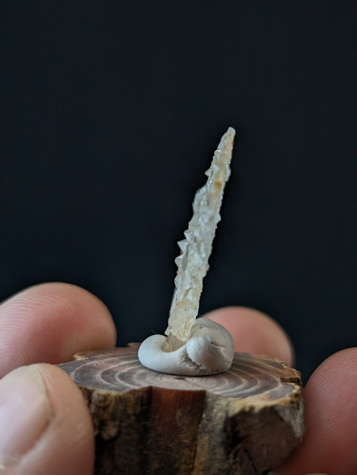 A+ Unique Quartz, Old Stock, Montgomery County, Arkansas, w/ natural wood base