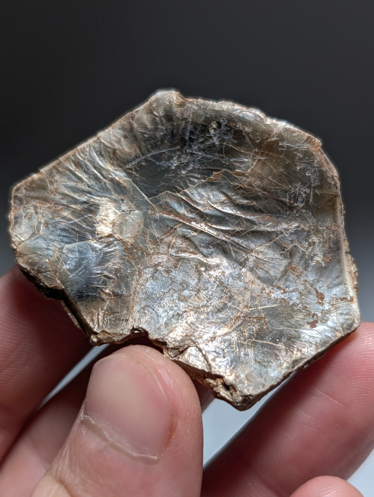 Green/Brown Mica, Magnet Cove, Hot Spring County, Arkansas, USA,Ex Henry Delinde