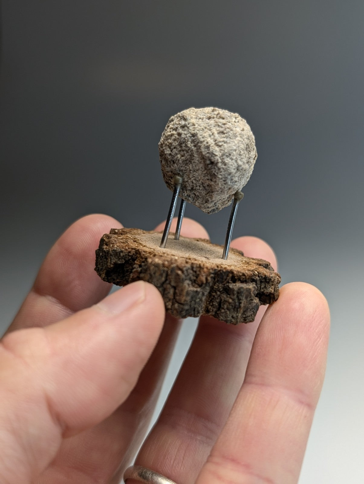 Pseudoleucite, Magnet Cove, Hot Spring County, Arkansas, Old Stock, w/wood stand