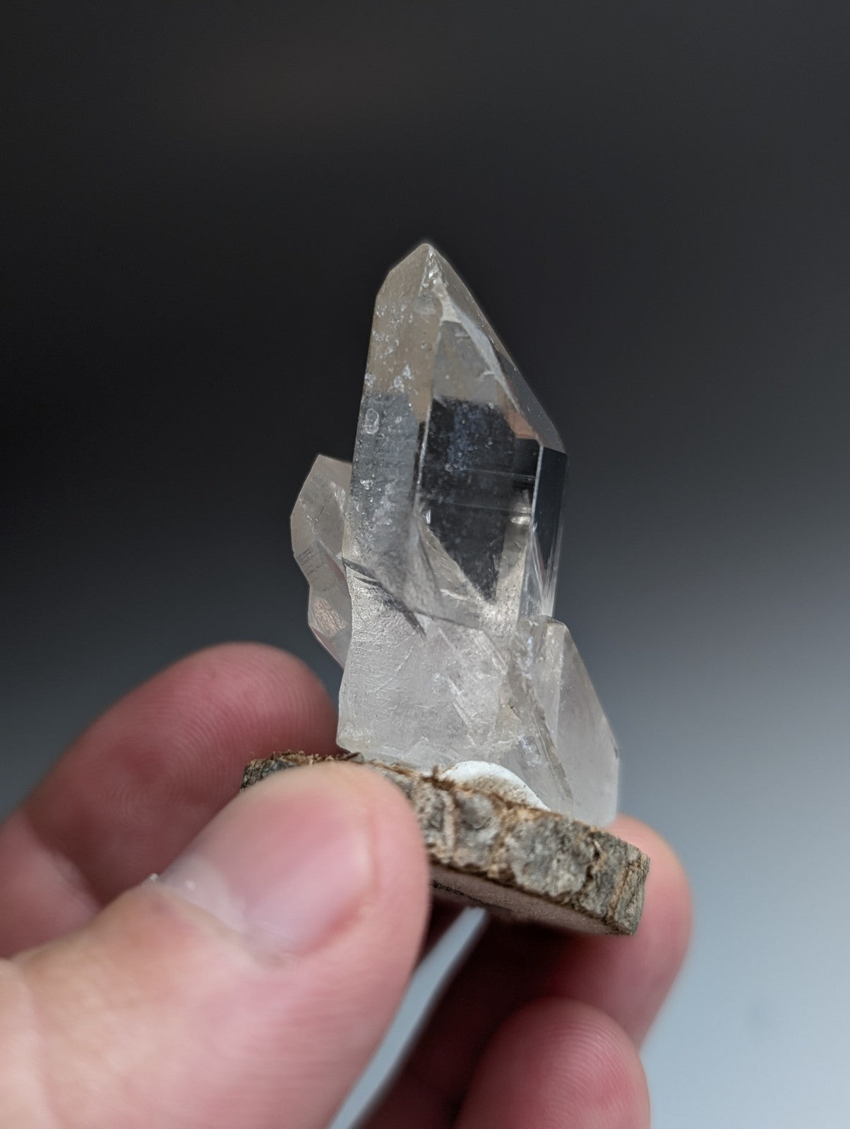Unique Quartz Point, Old Stock, Garland County, Arkansas, w/ natural wood base