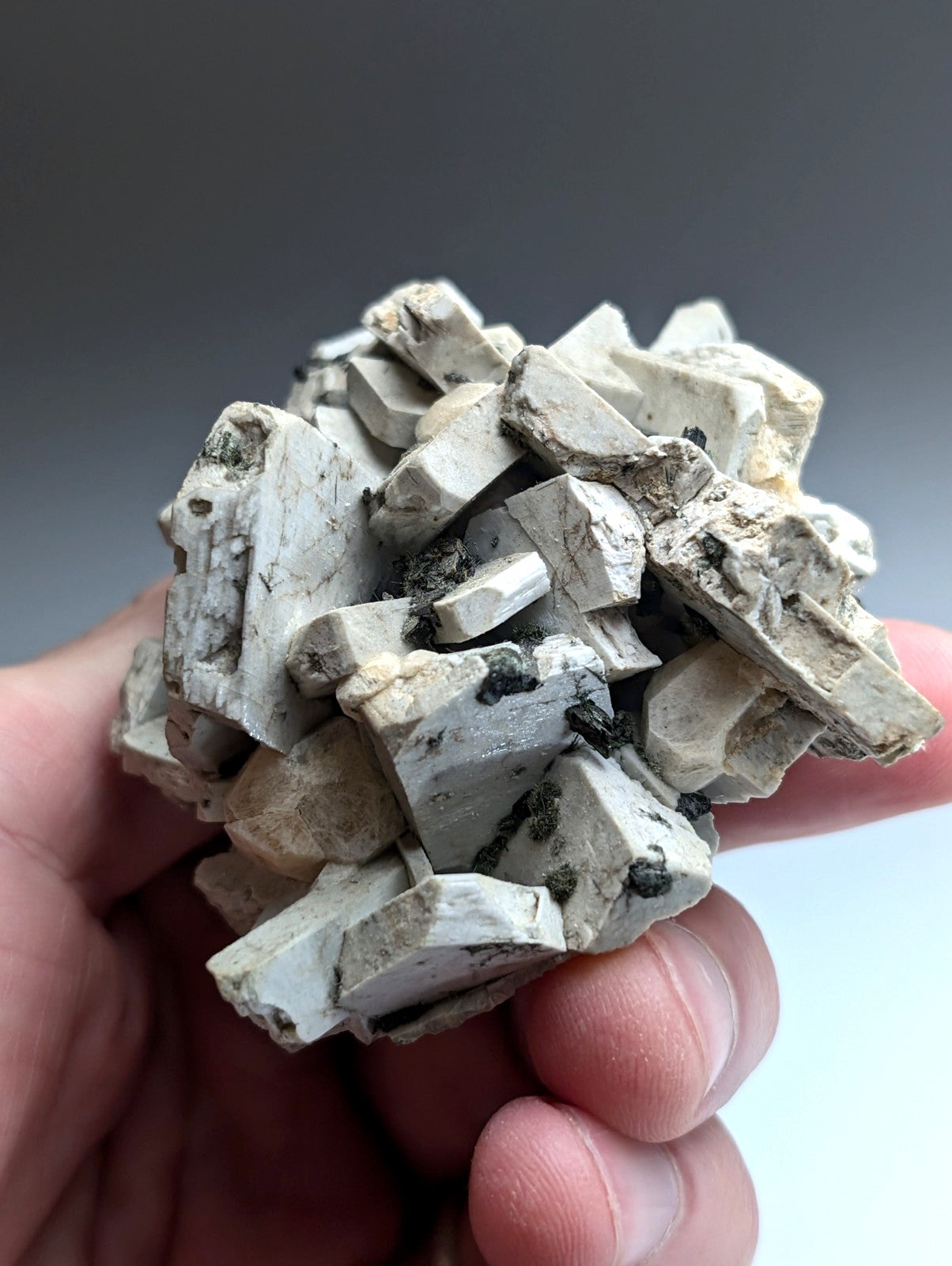 Albite, Biotite, Aegerine, Analcime, 3M Quarry, Little Rock, Arkansas, Delinde!