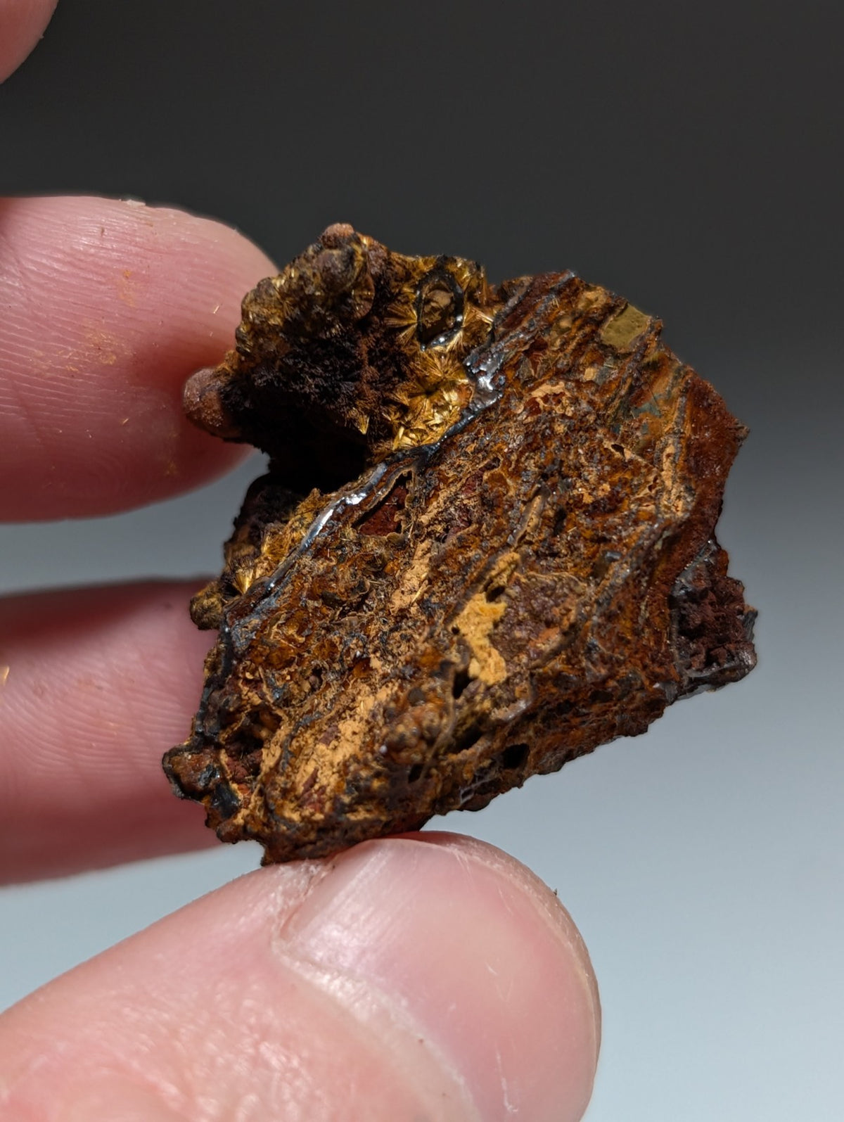 VERY RARE Strengite + Cacoxenite- Coon Creek, Polk County, Arkansas
