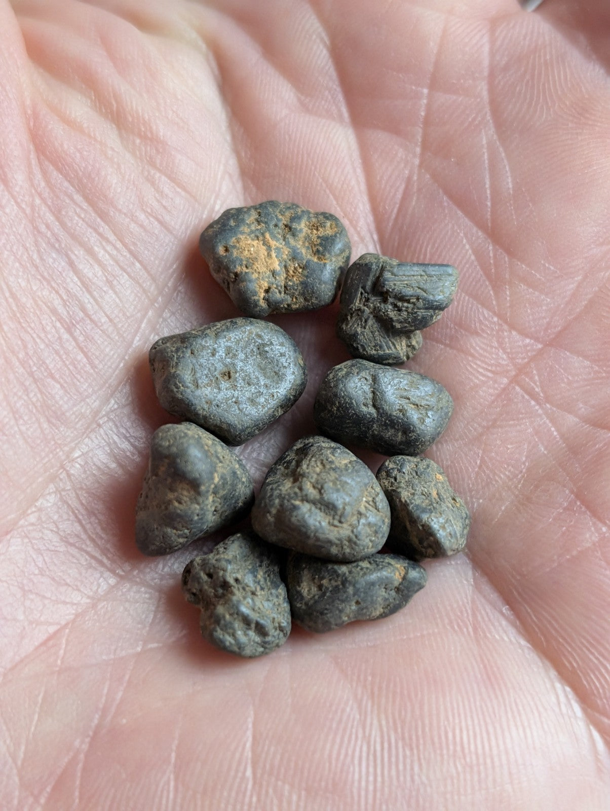 Very Rare, Placer Rutile, Arkansas, Magnet Cove, Old Stock,ex Delinde, set of 9