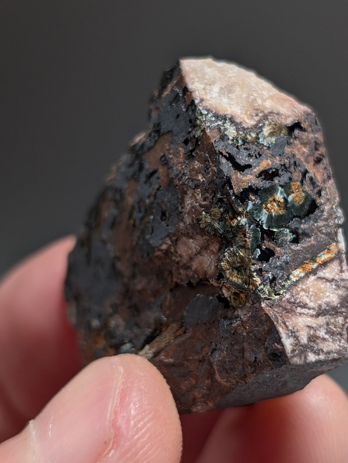 Rare Kidwellite specimen - Coon Creek Mine, Polk County, Arkansas, USA