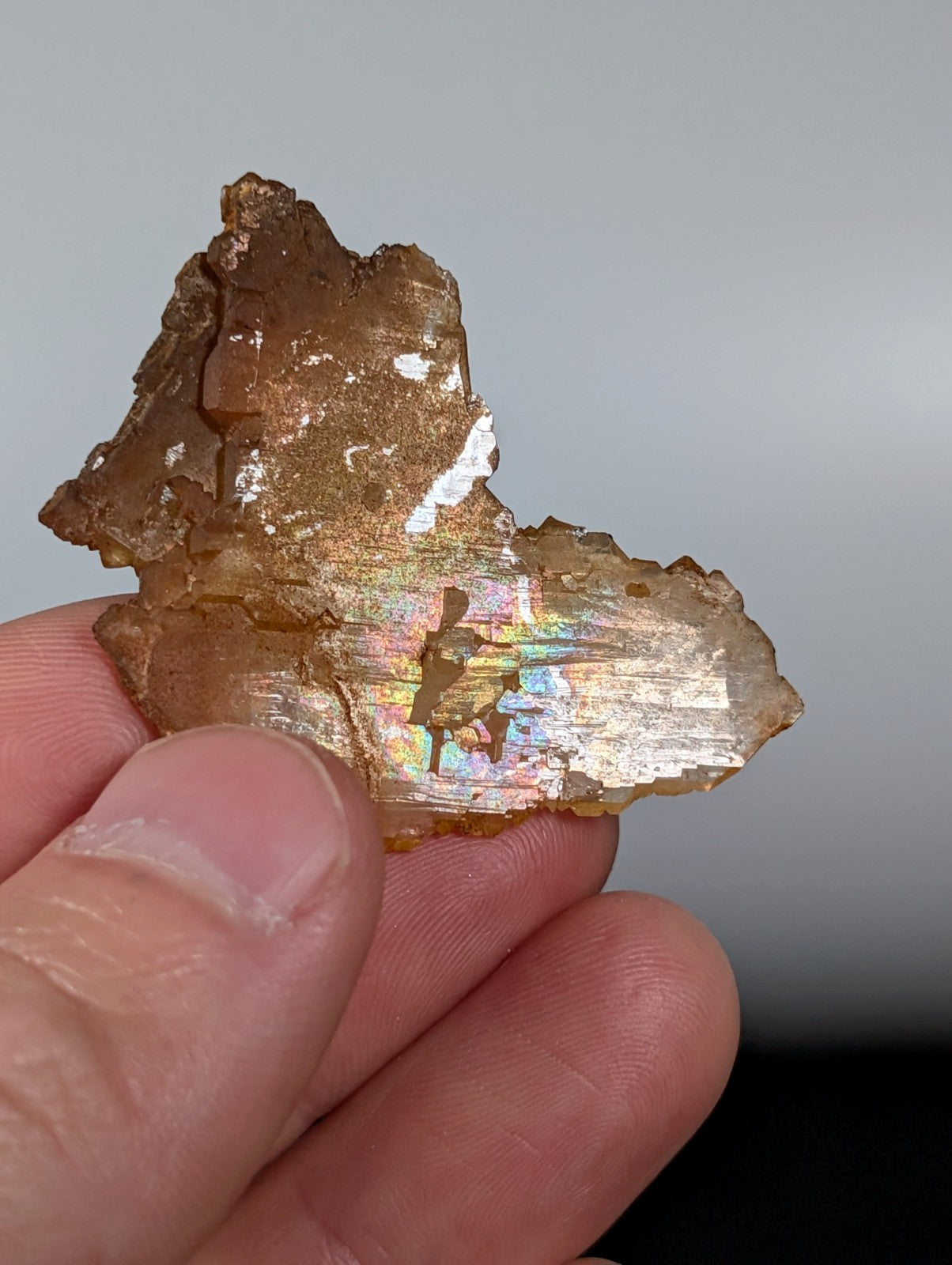 Rare Faden Sheet Quartz Crystal w/ Rainbows, Garland County, Arkansas, USA, A+