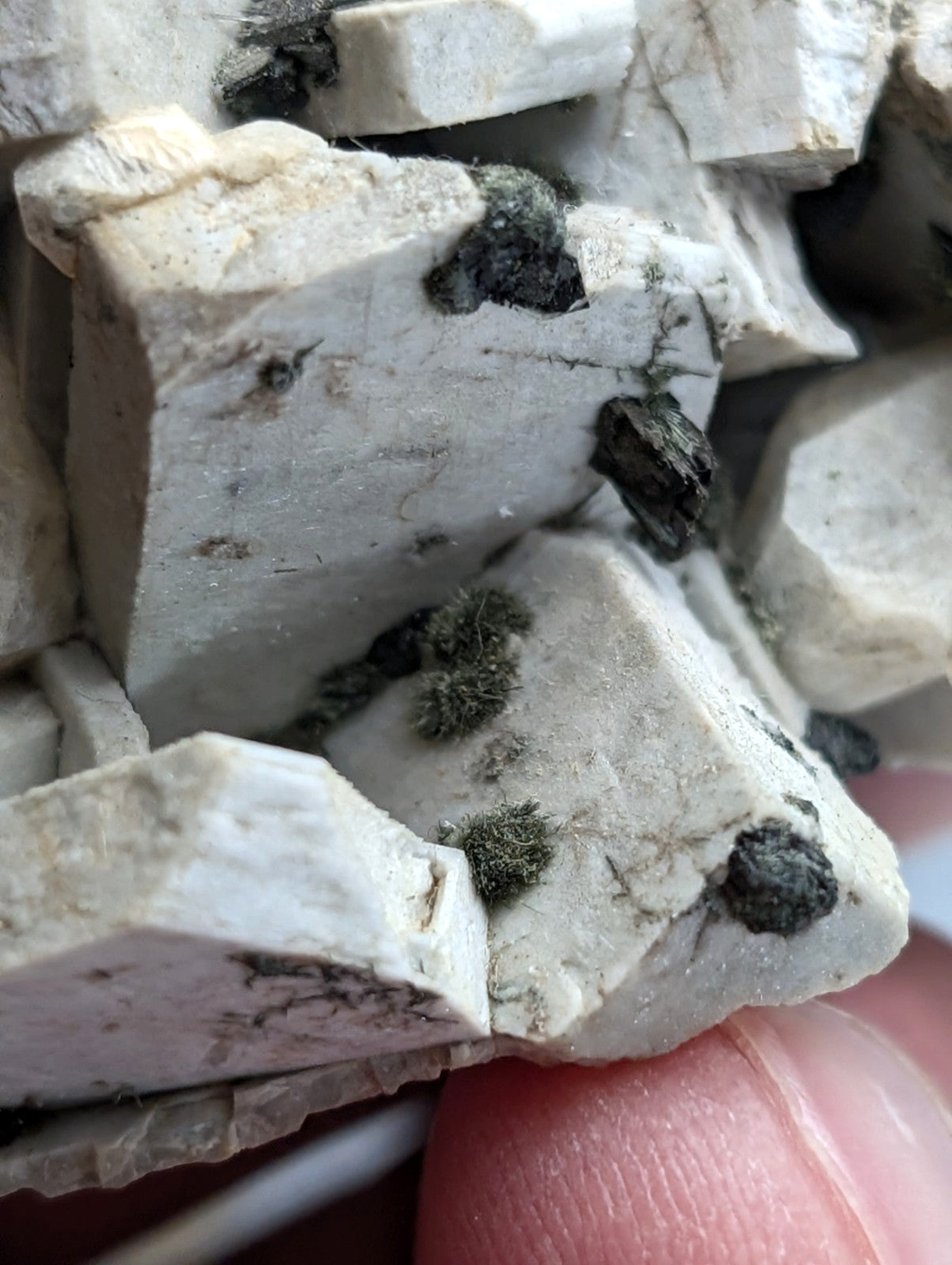 Albite, Biotite, Aegerine, Analcime, 3M Quarry, Little Rock, Arkansas, Delinde!