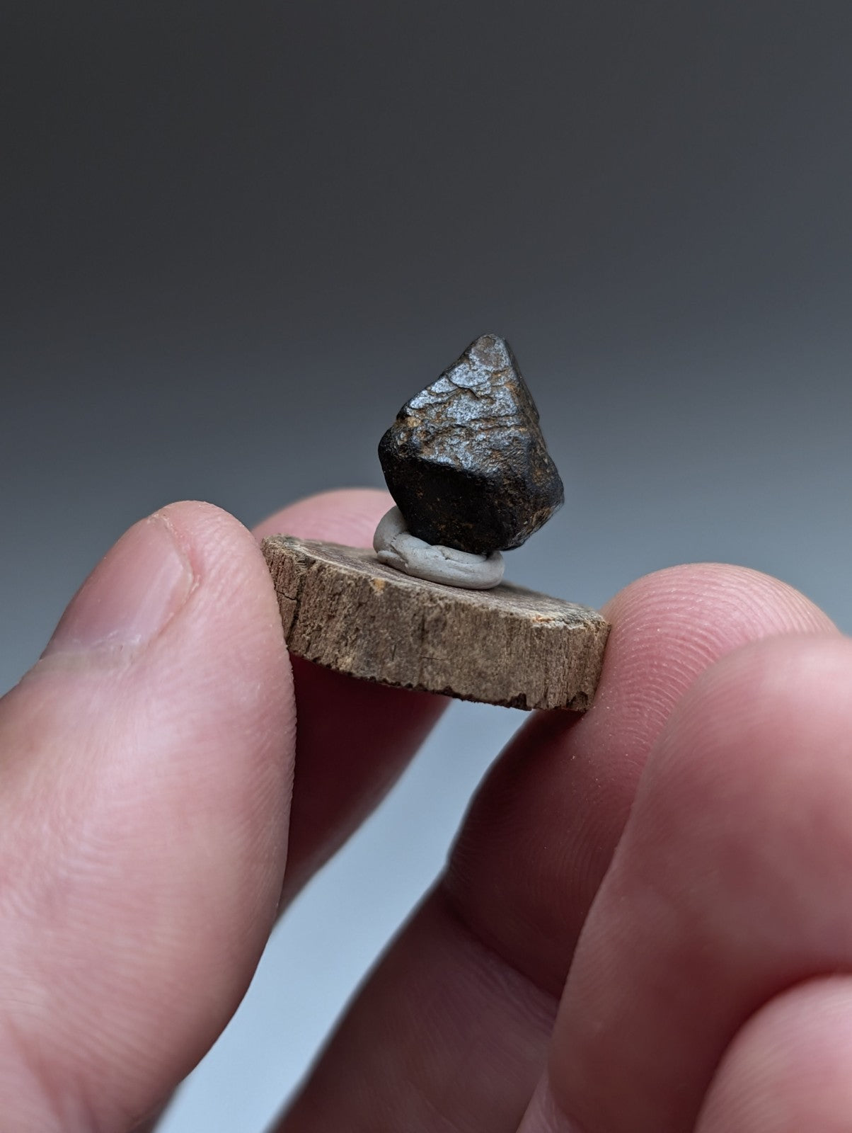 Magnetite Crystal, Magnet Cove Igneous Complex, Arkansas, Old Stock, +wood stand