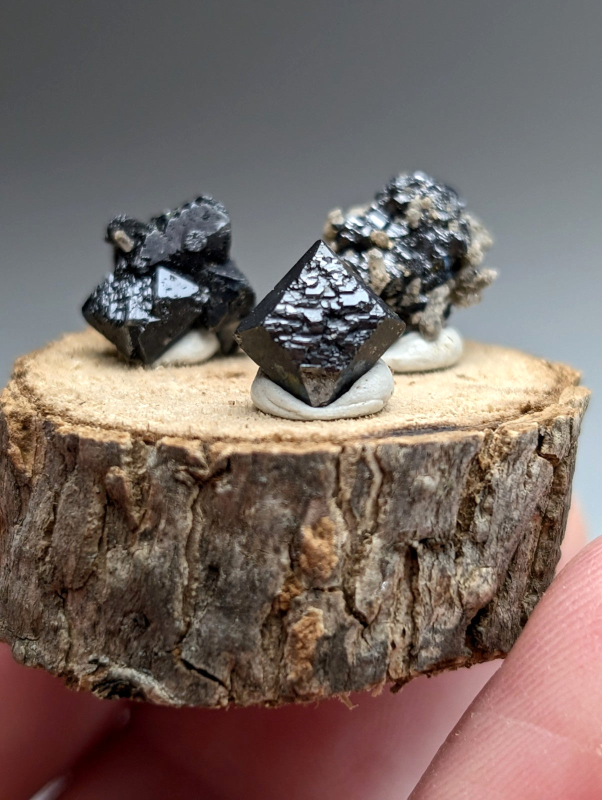 Set of 3 Brookite + Smoky Quartz, Magnet Cove, Arkansas, Old Stock, + wood stand
