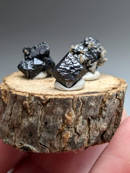 Set of 3 Brookite + Smoky Quartz, Magnet Cove, Arkansas, Old Stock, + wood stand