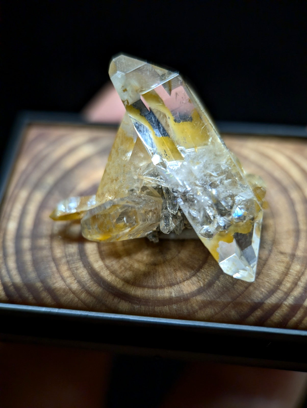 A+ Quartz Crystal Cluster, w/ wood mount + photo case - Garland County, Arkansas