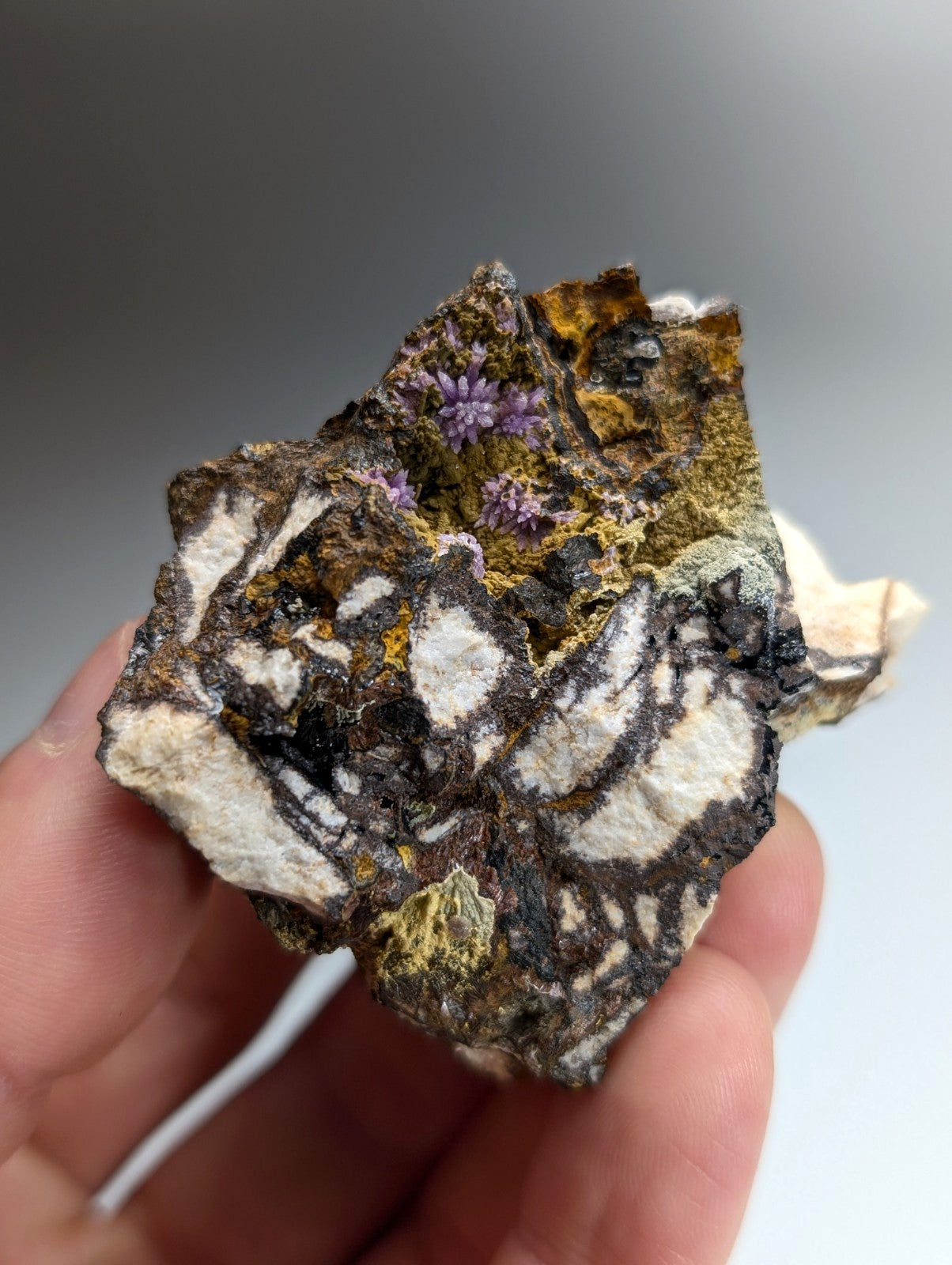 Super Rare Strengite + Kidwellite, etc, Coon Creek Mine, Polk Co, Arkansas, A+++