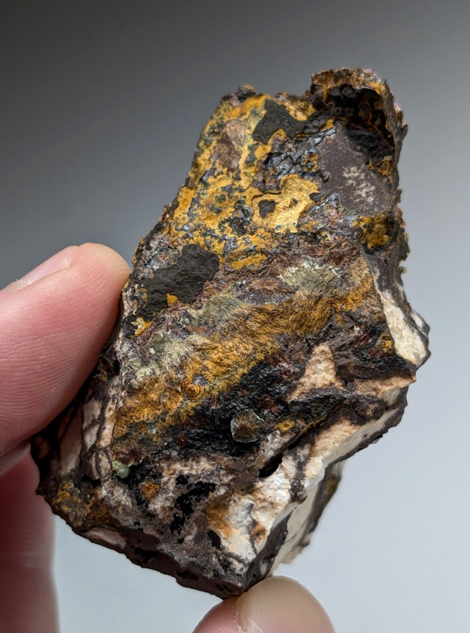 Super Rare Strengite + Kidwellite, etc, Coon Creek Mine, Polk Co, Arkansas, A+++
