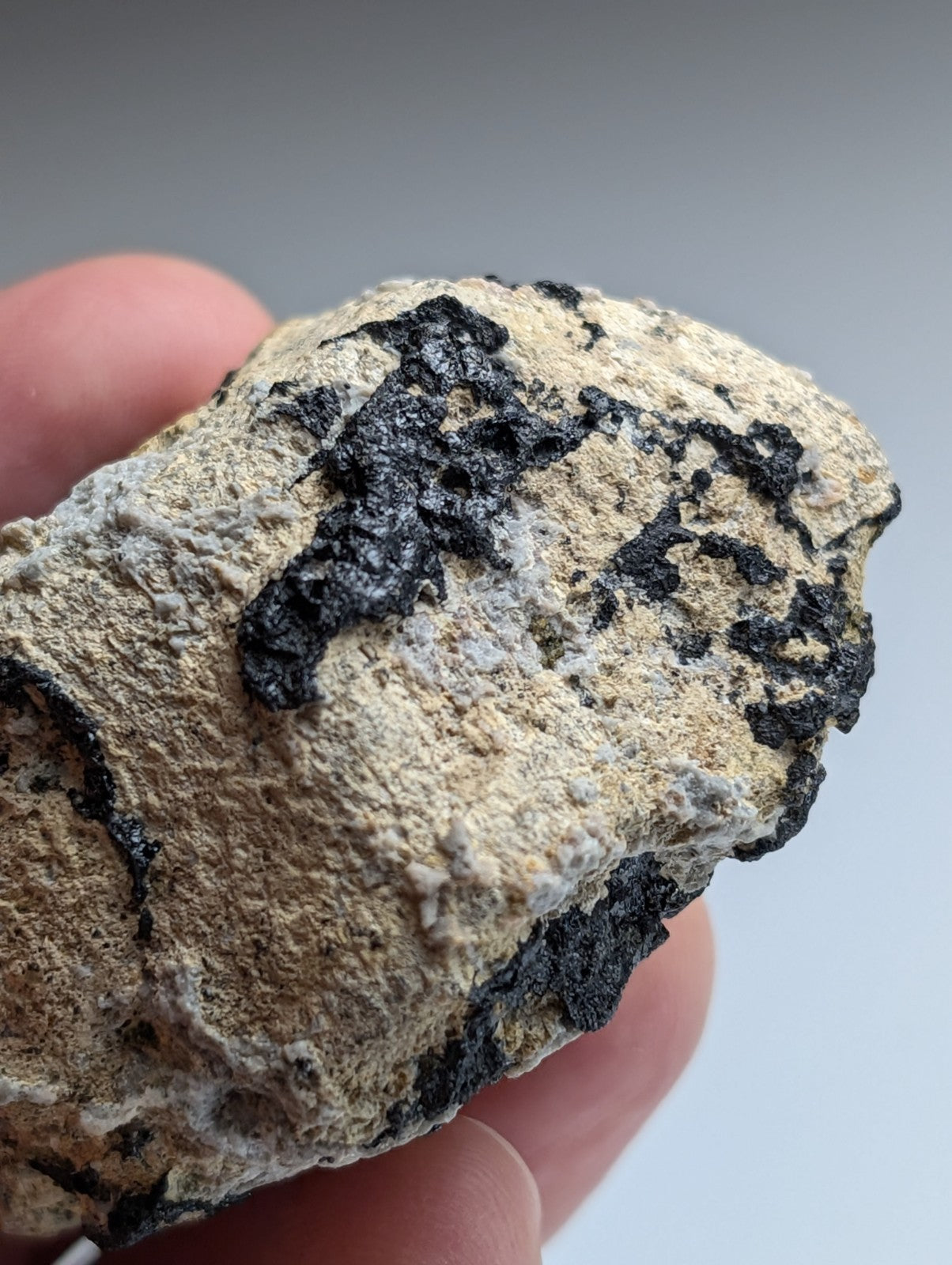 Garnet on Syenite matrix, Magnet Cove, Hot Spring County, Arkansas, Old Stock